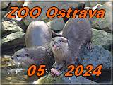 Ostrava 2024